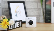 Load image into Gallery viewer, Paperoid™