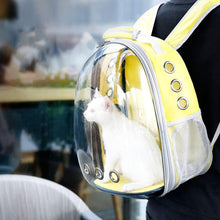 Load image into Gallery viewer, DEN™