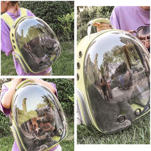 Load image into Gallery viewer, DEN™