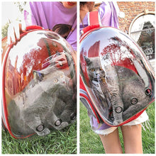 Load image into Gallery viewer, DEN™