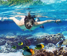 Load image into Gallery viewer, FALSE