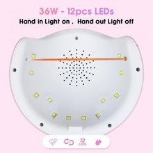 Load image into Gallery viewer, Dryzer™