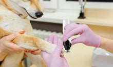 Load image into Gallery viewer, Broof™