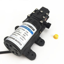 Load image into Gallery viewer, Hydraise™