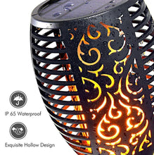 Load image into Gallery viewer, Nitorch™