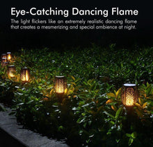 Load image into Gallery viewer, Nitorch™
